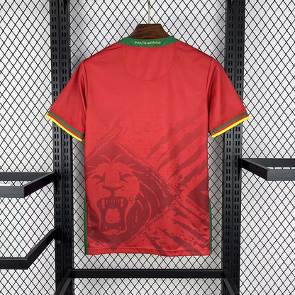 Cameroun maillot extérieur 2025 2026